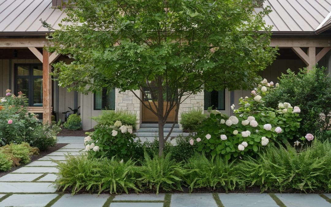 Pros and Cons of Trees in Your Home’s Tree and Landscaping